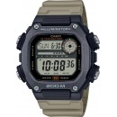 DW-291HX-5A