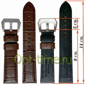 
              AP-2404