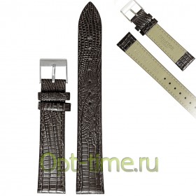 
              AY-1801