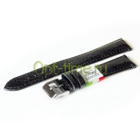 
            aMP-18004